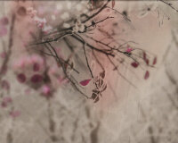 75-cm-Panel Viskosejersey WINTER-HEDI, Beerenzweige, steingrau, Hilco