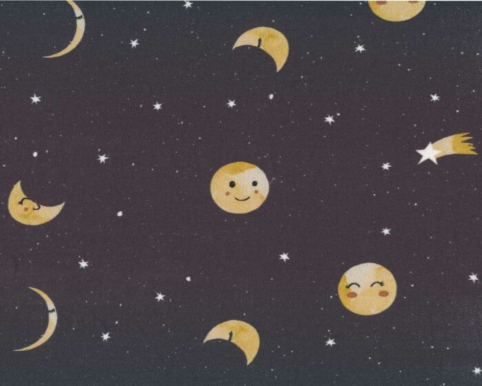 Sweatstoff MINI FOREST MOON, Mond und Sterne, anthrazit