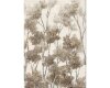 Metallic-Patchworkstoff WILDWOOD GRACE, Birken, natur-silber, Robert Kaufman
