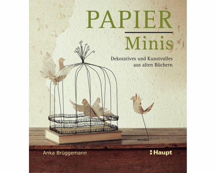 Bastelbuch: Papier-Minis, Haupt