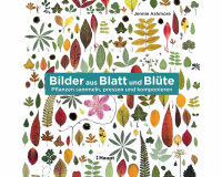 Bastelbuch: Bilder aus Blatt und Blüte, Haupt