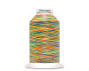 Bauschgarn BULKY-LOCK 80, multicolor, Gütermann 9822