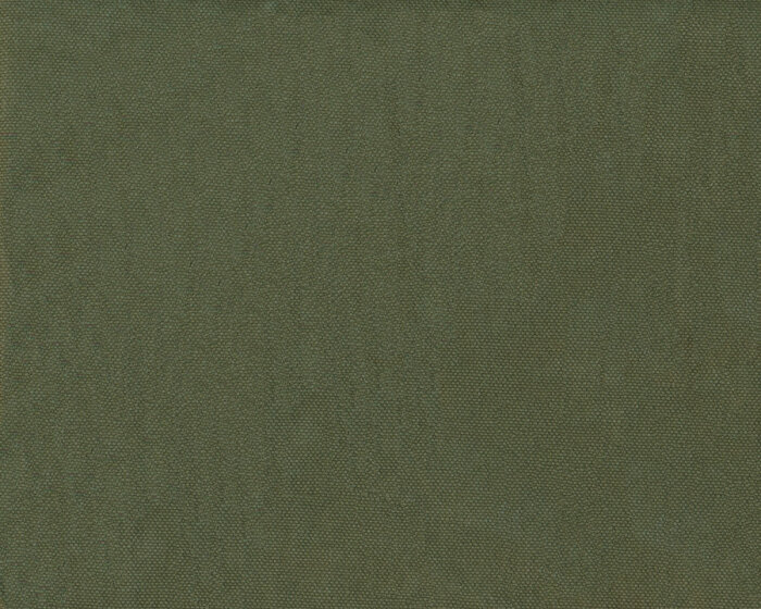 Canvas-Stoff HEAVY WASHED, olivgrün, Mind the Maker
