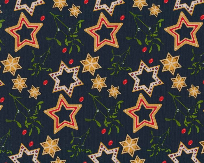 Baumwolljersey FELIZ NAVIDAD, Lebkuchensterne, marineblau