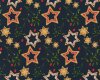 Baumwolljersey FELIZ NAVIDAD, Lebkuchensterne, marineblau