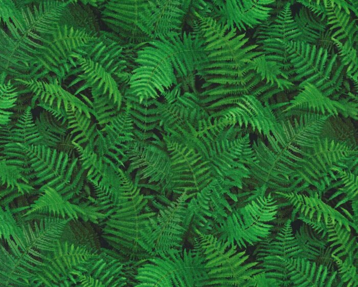 Patchworkstoff LANDSCAPE MEDLEY, Farn, Elizabeths Studio