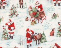 Patchworkstoff A MAGICAL CHRISTMAS, Weihnachtsmann, Wilmington Prints