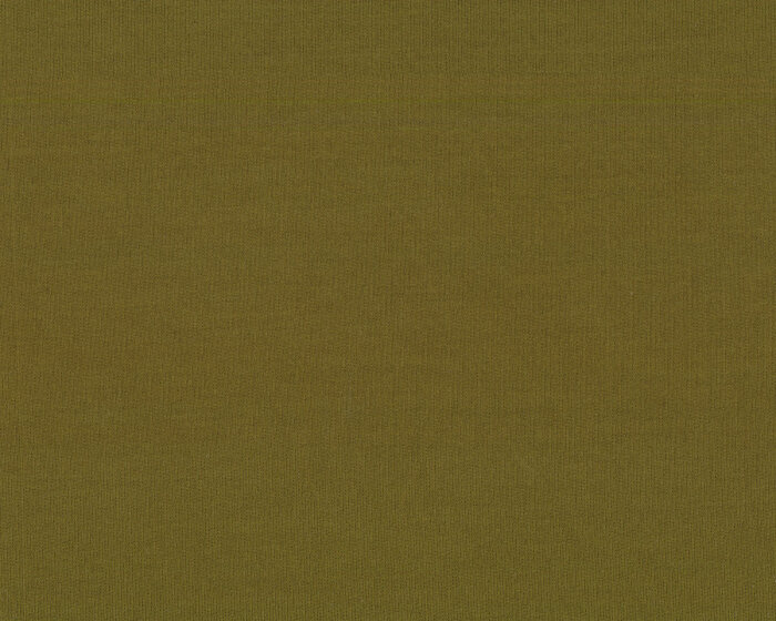 Bambus-Sweatstoff FRENCH TERRY, olive, PS fabrics