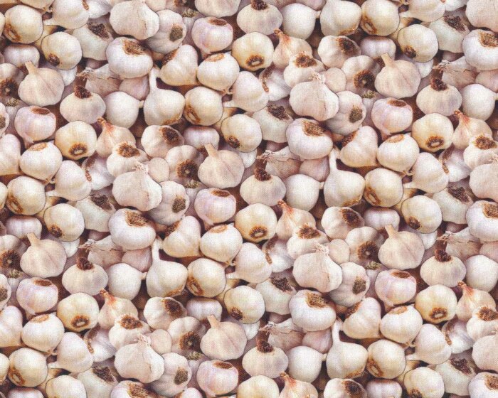 Patchworkstoff FOOD FESTIVAL, Knoblauch, Elizabeths Studio