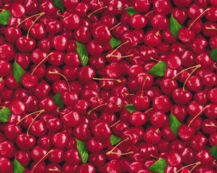 Patchworkstoff FOOD FESTIVAL, Kirschen, Elizabeths Studio