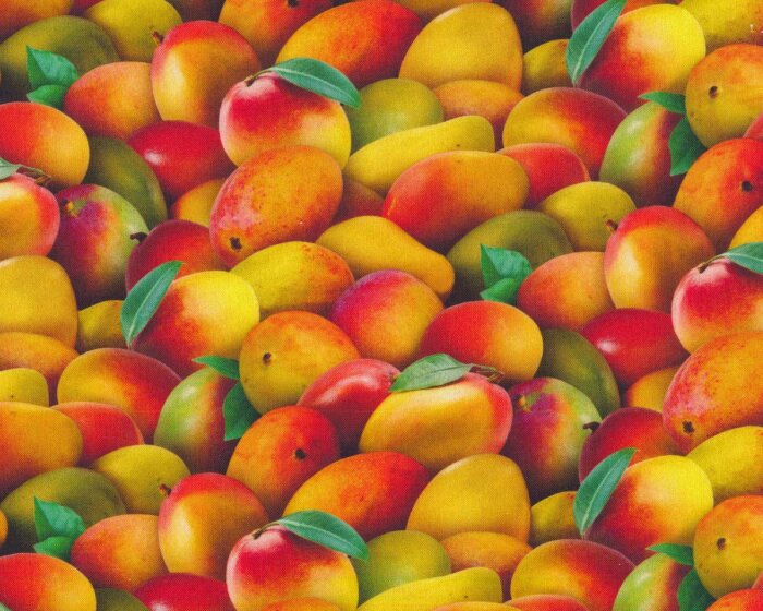 Patchworkstoff FOOD FESTIVAL, Mango, Elizabeths Studio