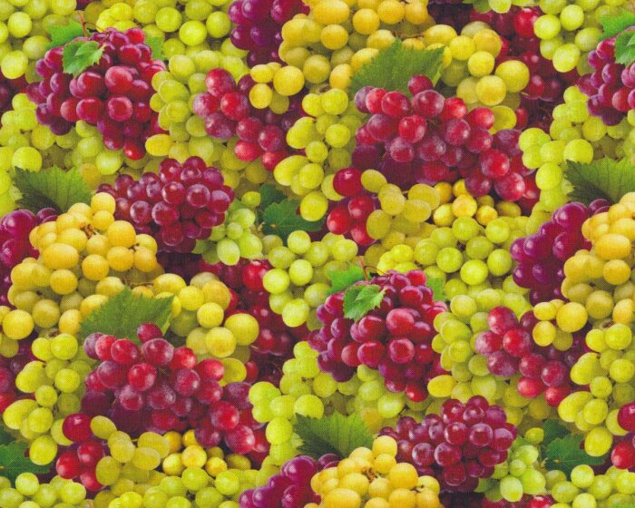 Patchworkstoff FOOD FESTIVAL, Weintrauben, Elizabeths Studio