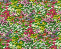 Patchworkstoff BEES & FLOWERS, Sommerblumen,...