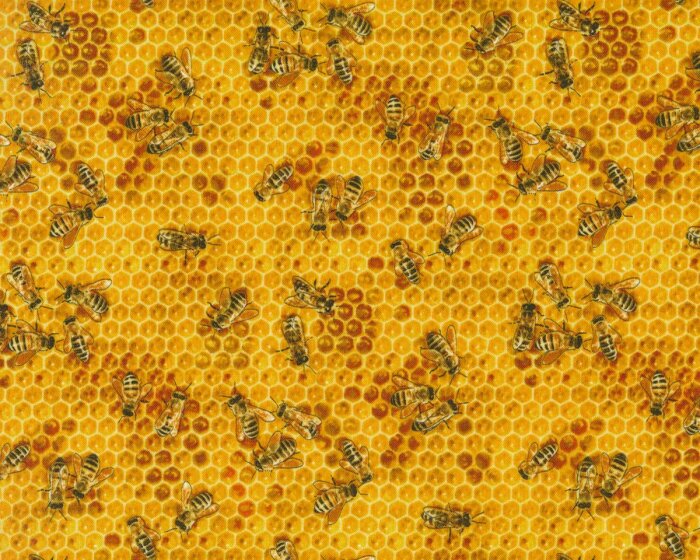 Patchworkstoff BEES & FLOWERS, Honigbienen, Elizabeths Studio