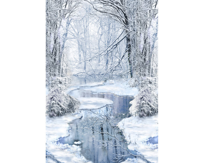 1 Reststück 60-cm-Panel Patchworkstoff WINTER HIKE, Flußlandschaft,Timeless Treasures