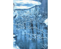 1 Reststück 60-cm-Panel Patchworkstoff WINTER HIKE, Flußlandschaft,Timeless Treasures