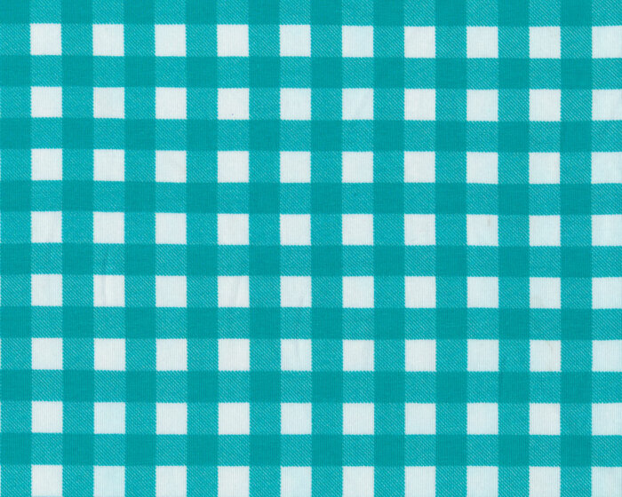 Baumwolljersey AVALANA PLAID, Karo, türkis