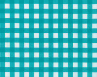 Baumwolljersey AVALANA PLAID, Karo, türkis