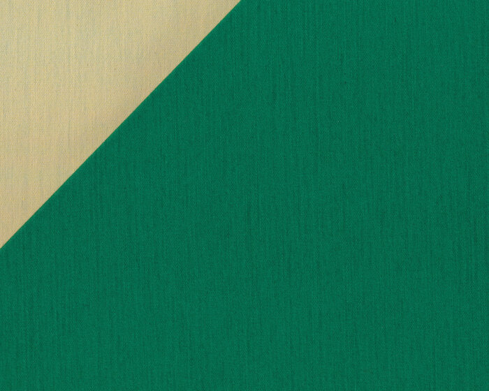 Jeansstoff mit Stretch WOVEN DENIM, zweifarbig, grün-pastellgelb