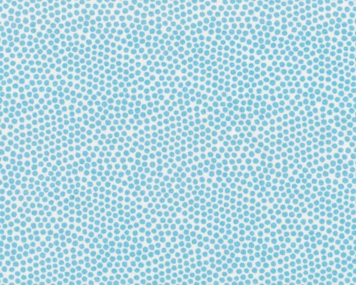 Baumwolljersey MARKET DOTS, Punkte, hellblau, Hilco