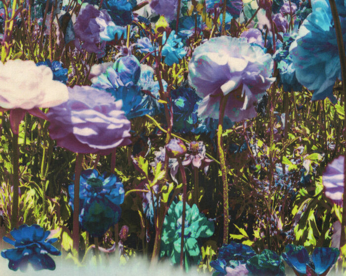 1,00-m-Rapport Viskosejersey NEELE, Rosen-Himmel, blau, Hilco