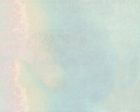 1,00-m-Rapport Viskosejersey NEELE, Rosen-Himmel, blau, Hilco