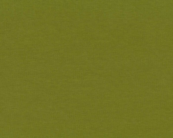 Baumwolljersey VANESSA, einfarbig, helles moosgrün, Swafing