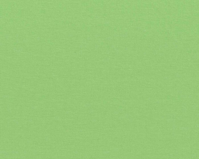 Baumwolljersey VANESSA, einfarbig, hellgrün, Swafing