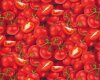 Patchworkstoff FOOD FESTIVAL, Tomaten, Elizabeths Studio