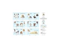 90-cm-Panel für Stoffbuch Patchworkstoff WHOSE BABY AM I, Elizabeths Studio