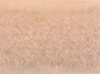Klettband PREMIUM, nähbar, 20 mm Flausch beige
