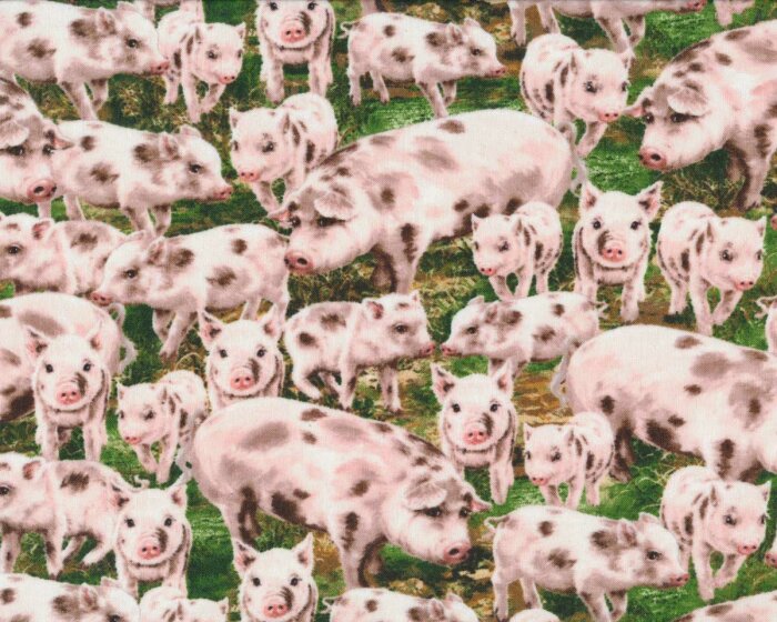 Patchworkstoff FARM LIFE, Schweine, Timeless Treasures
