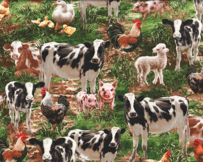 Patchworkstoff FARM LIFE, Bauernhoftiere, Timeless Treasures