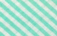 Baumwoll-Schrägband mit Streifen 18 mm mintgrün