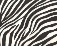 Samtstoff Velour ZEBRE, Zebra-Fell, schwarz-weiß