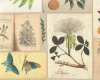 Wachstuch-Baumwollstoff PAULINA, Herbariums-Pflanzen