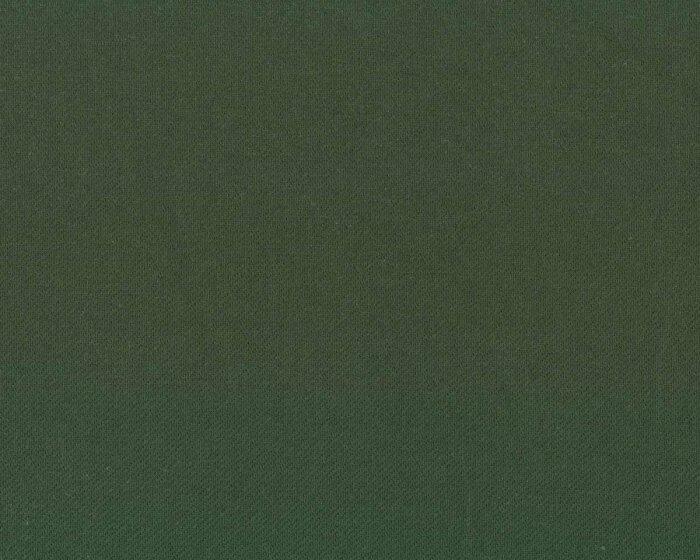 Romanit-Jersey JENNY-JEANS, dunkelgrün, Hilco