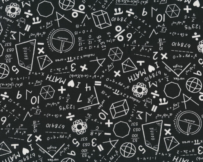 Patchworkstoff STEM SQUAD, Mathe-Formeln, schwarz, Michael Miller