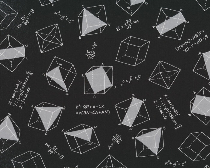 Patchworkstoff MUSINGS, Geometrie, schwarz, Robert Kaufman