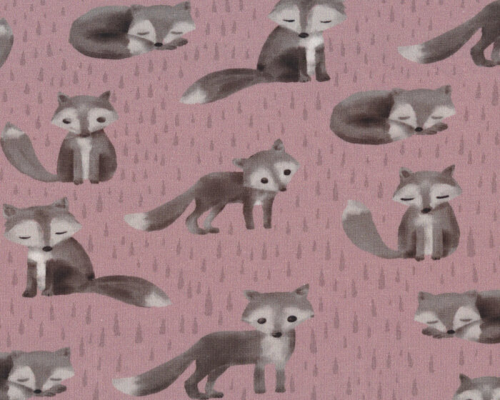 Baumwolljersey MR.SOCKS, Füchse, altrosa, Bienvenido Colorido