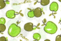 Baumwoll-Schrägband mit Früchten Apfel 18 mm