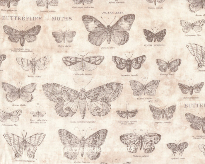 Patchworkstoff ECLECTIC ELEMENTS, Schmetterlinge, Tim Holtz
