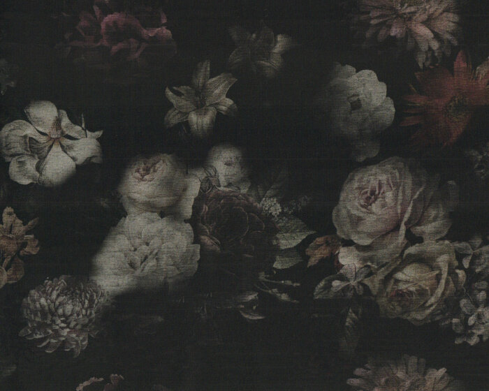 Sweatstoff French Terry NATURE MORTE, Blumen im Schatten, schwarz