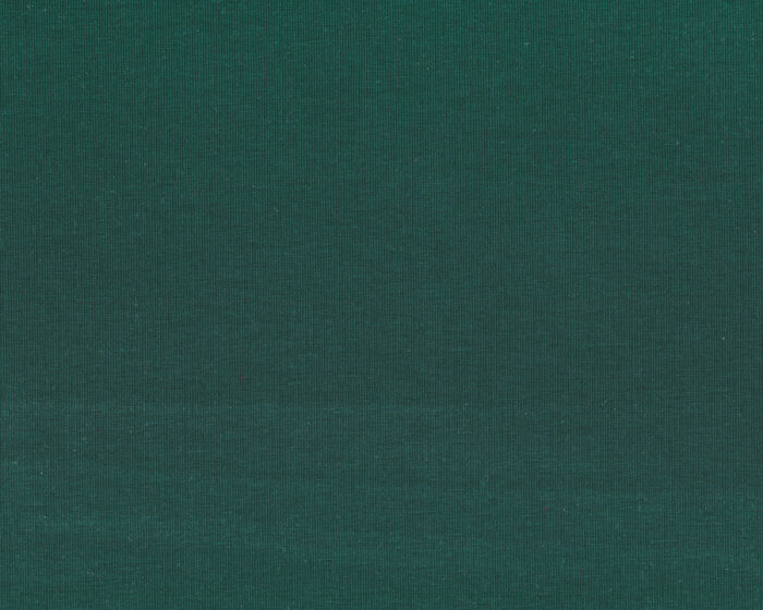 Baumwolljersey ORGANIC COTTON, tannengrün, Mind the Maker