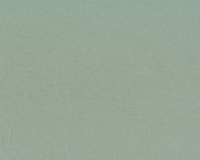 Baumwolljersey ORGANIC COTTON, salbeigrün, Mind the Maker