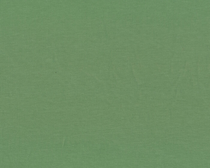Baumwolljersey VANESSA, einfarbig, stumpfes grün, Swafing