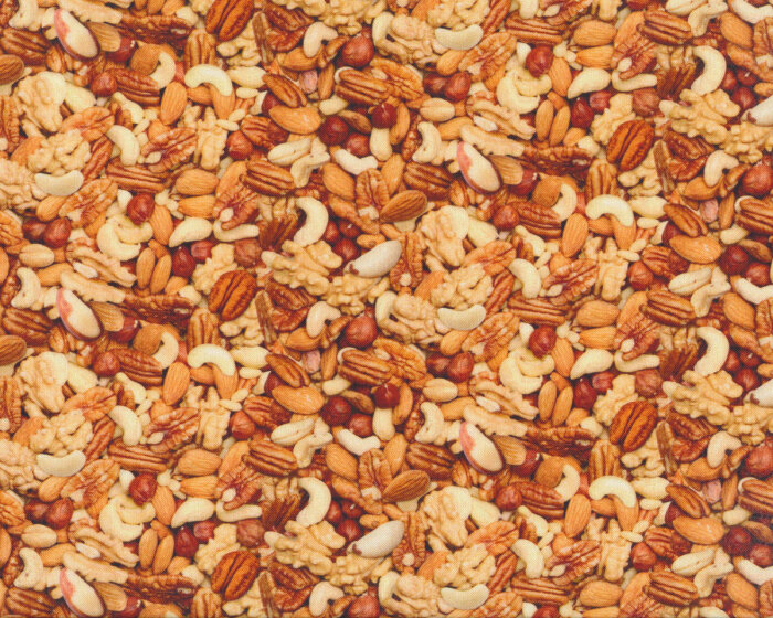 Patchworkstoff FOOD FESTIVAL, Nüsse und Kerne, Elizabeths Studio