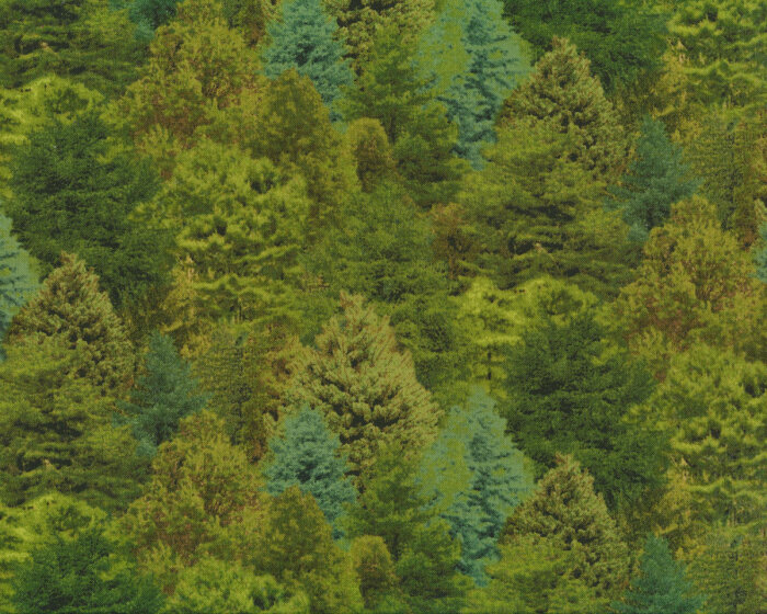 Patchworkstoff LANDSCAPE MEDLEY, Bäume, Elizabeths Studio