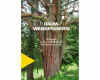 Wanderbuch: Baumwanderungen, Busse Seewald