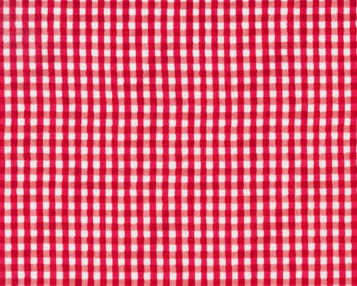 Patchworkstoff CERTIFIED DELICIOUS, Karo, rot-weiß, Windham Fabrics